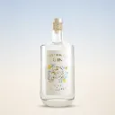 Original gin - Carton 6x70cl