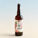 Brassin printanier - Carton 12x75cl